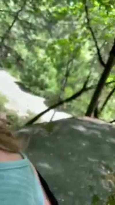 Hiking head is the best because he can keep a lookout for others 🫡 [gif]