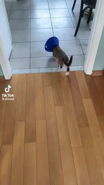 This guy’s vibe is next level