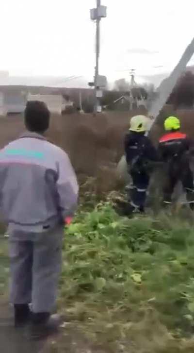 Под городом Чехов водитель внедорожника врезался в ЛЭП-опору и застрял, оставив на два дня посёлок без электричества.