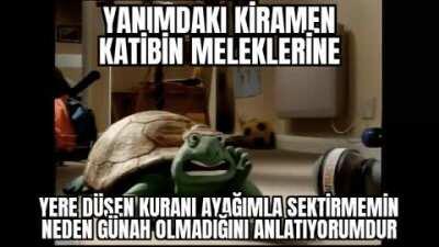 Tuttum işte amk niye yazıyon günah >:(