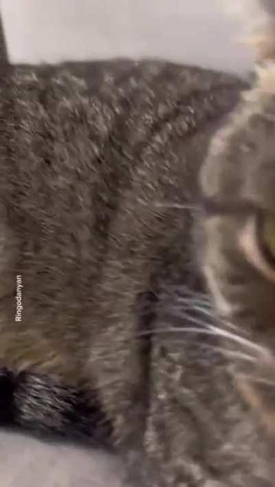 So I lost my Airpod today...