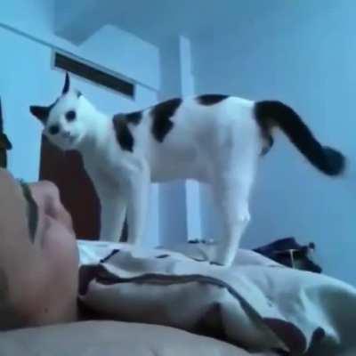 Hey! Breakfast was 2min ago