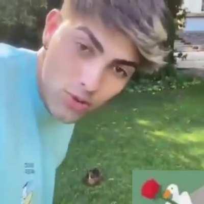 Sabedoria desbalanceada