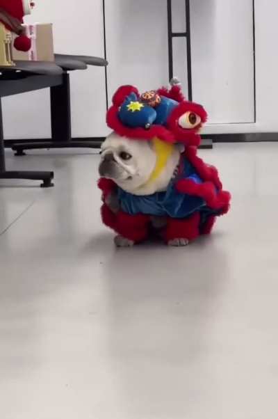 Halloween or Chinese New Year