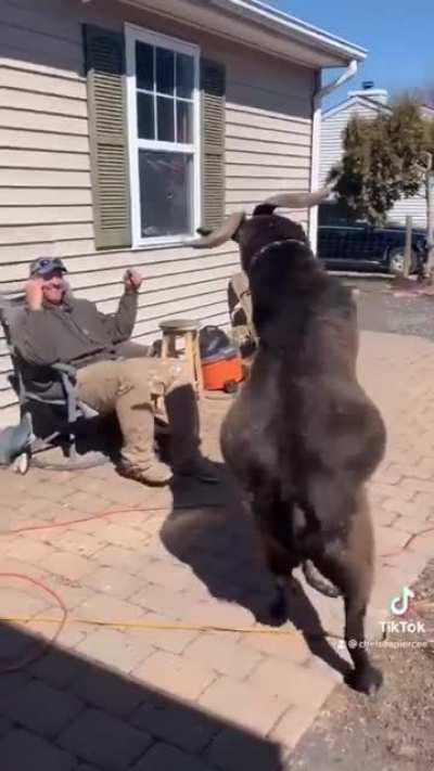 Looks like someone was hurt in this video