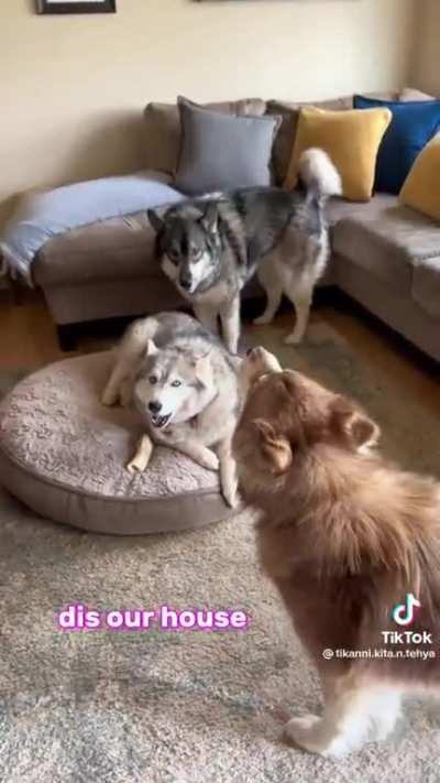 The exponential escalation of it all