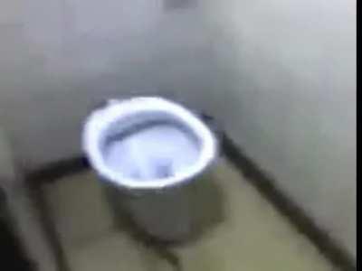 toilet