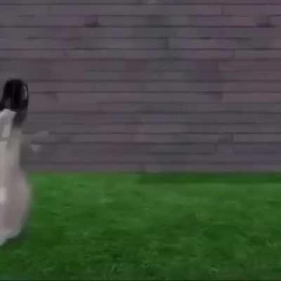 What am i even watching