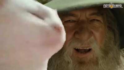 Epic Sax Gandalf feat. Vibing Cat (via Instagram: OrtaDunyaCom)