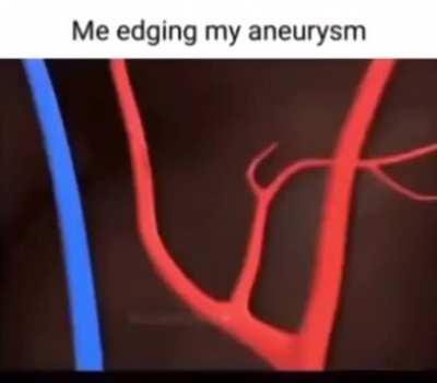 big brain 😎😎😎