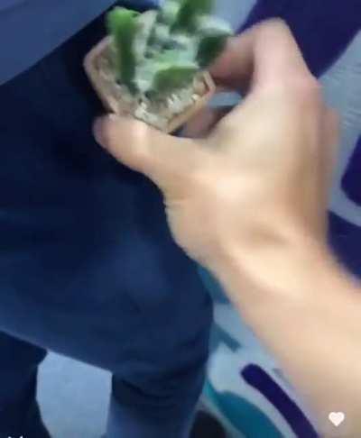 mas que filho da puta genial kkkkkkkkkkkkkkk