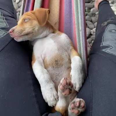 How Good It Is To Spend Your Free Time With Your Best Friend!