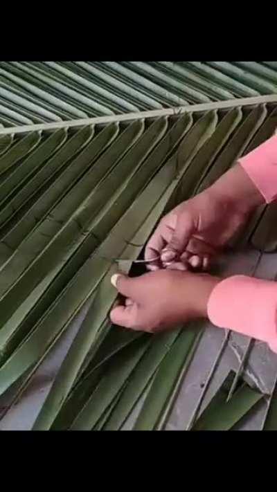 just watch and salute