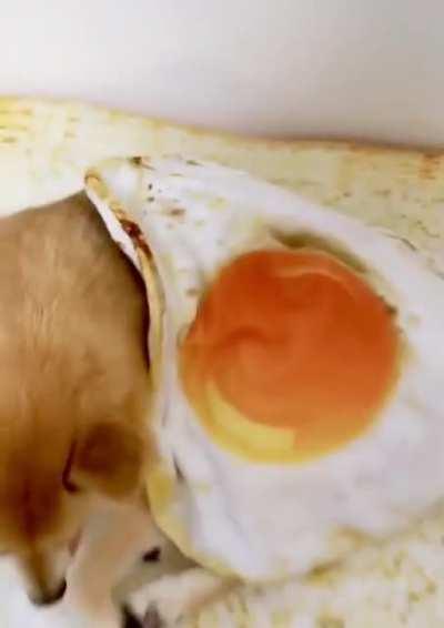 Forbidden egg on toast