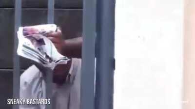 WCGW trying to open a gate without checking if the owner is at home.. hehe