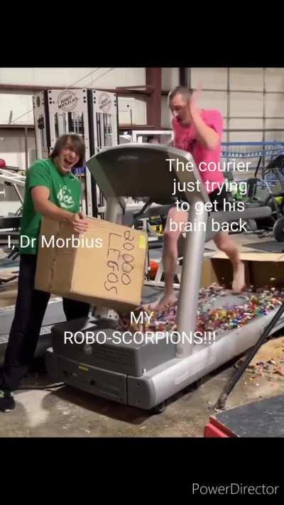 Sting Them Until They Are Stupid! 