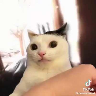 What people think is wrong with me (I've been in the military 4 years, but it was actually a girl)