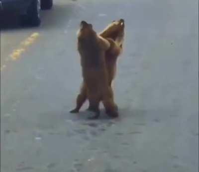 blursed beautiful dance