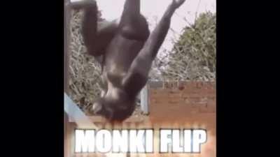 Monke epic flip