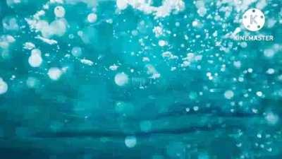 how to cure dementia