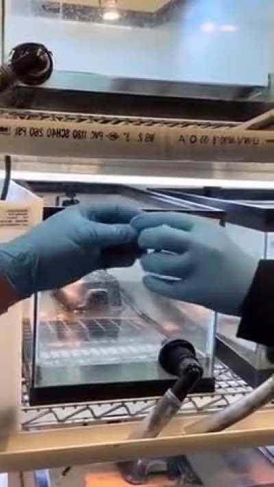 It’s Valentine’s Day