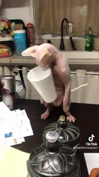 Ошибка обработки