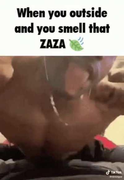 That zaza 🤭