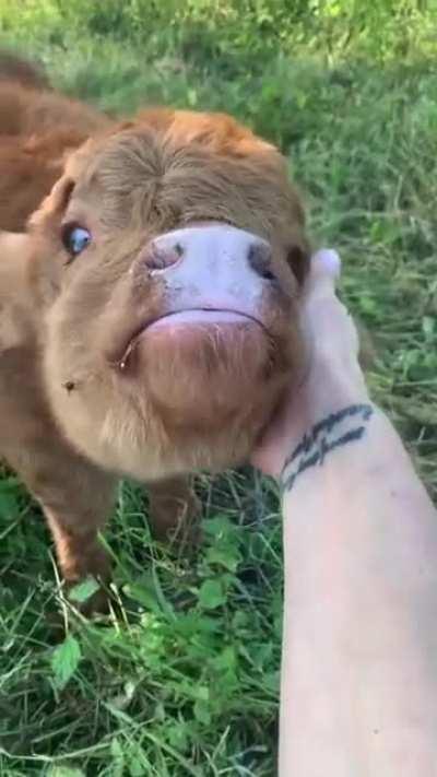 Helgekos med Alex 🌸☀️💚