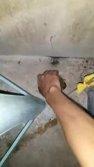 You are my friend now 🐸 🤝