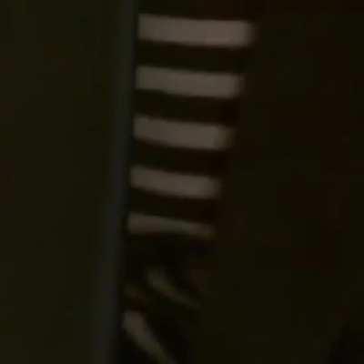 rickroll - Video #0230