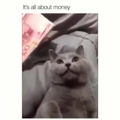 If I only knew about it sooner