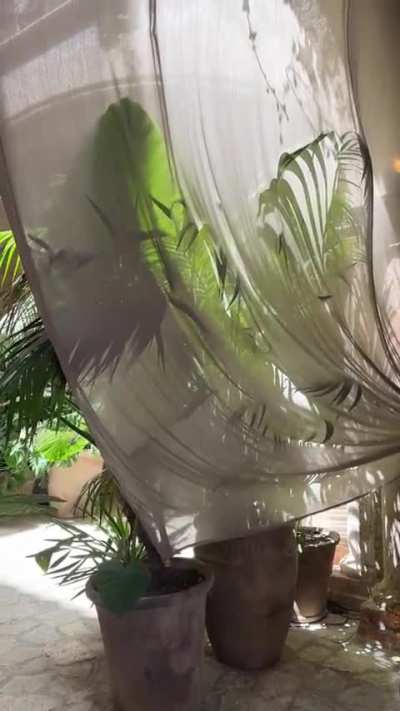 The mixture in textures and the greenery is just beautiful 😮‍💨