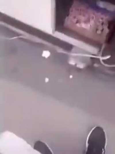 The fact that they both said 