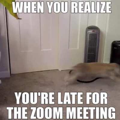 🐇 When you realize you're late for the zoom meeting 🤣