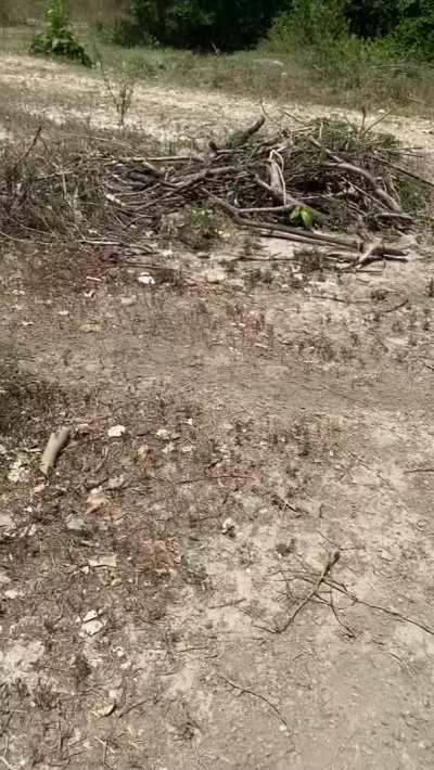 after that me and the farmer got naughty