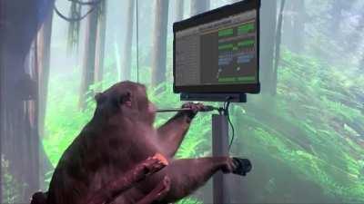 Mike Dean Outsourcing Production