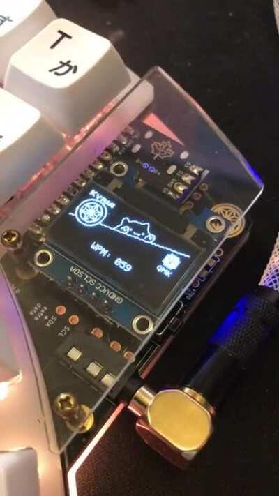 I made an OLED animation (of Bongo Cat!) that responds to how fast you type.