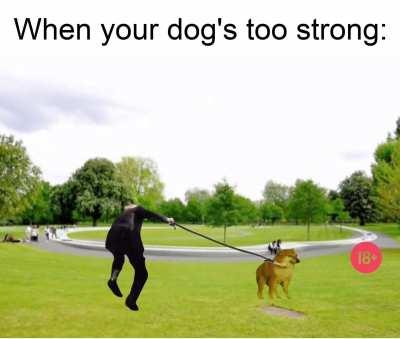 I forgot the baseball bat