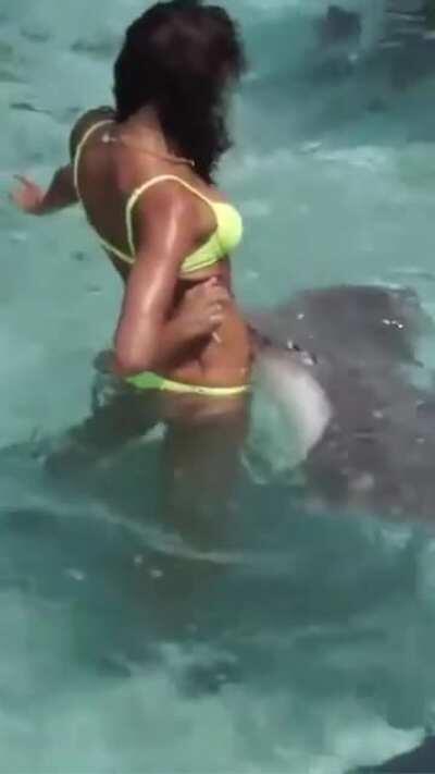 Gigi Hadid Glows, Irina Shayk Swims With The Sharks In Tahiti - Sports Illustrated Swimsuit - Vertical Edit