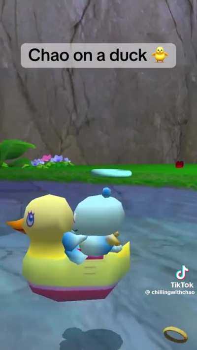 Take a break from scrolling and watch this chao ride a duck in the water!