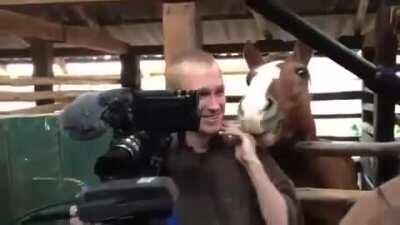 Filming while horse nibbles