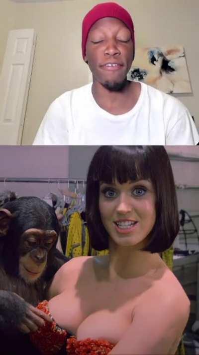 CHIMPANZEE WAS LOOKING HARD😂