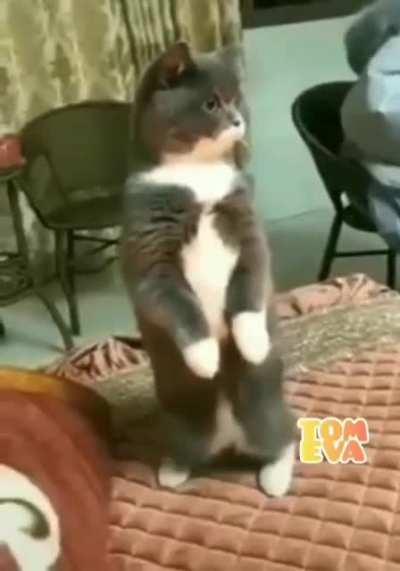 My tetka just sent me this. 😳😳😳. There's always one in the family. 🙄🤣