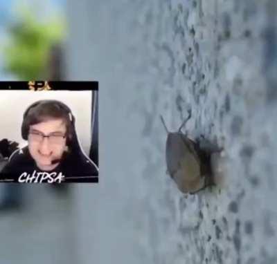 This needs to be fixed