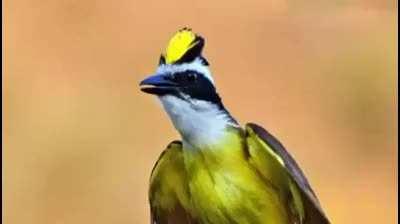 Imagina acordar com isso!