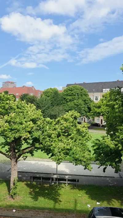 This is on 22 July 1941. The girl next door is getting married. Anne Frank is leaning out of the window of her house in Amsterdam to get a good look at the bride and groom. It is the only time Anne Frank has ever been captured on film.