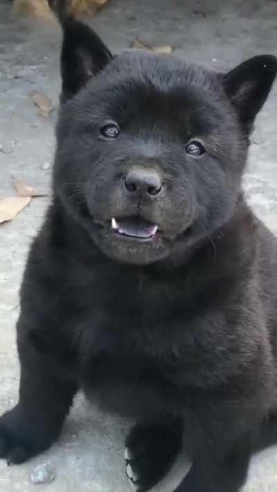 He looks like stronger than me