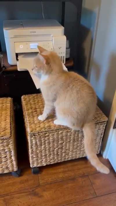 he was not expecting a single one of them mfs