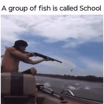 Meanwhile in America