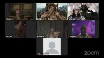 Skyrim Zoom Meeting